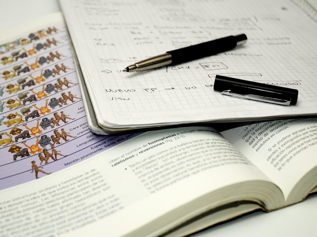 中学生在灯下翻译桃花源记白话译文，课本与笔记本并排，专注备考的日常场景